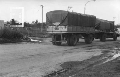 Municipalidad. Rutas y caminos