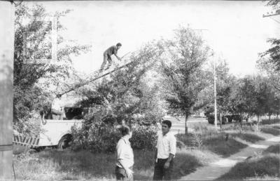 Municipalidad. Obras Públicas