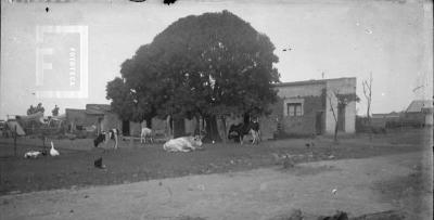 Casa de campo