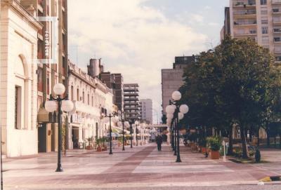 Nueva Peatonal sobre calle Mitre