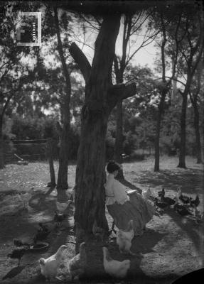 Paulina C. de Bustos sentada junto a árbol, rodeada de aves
